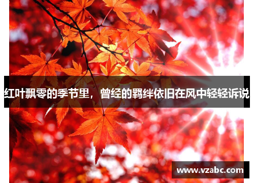 红叶飘零的季节里，曾经的羁绊依旧在风中轻轻诉说